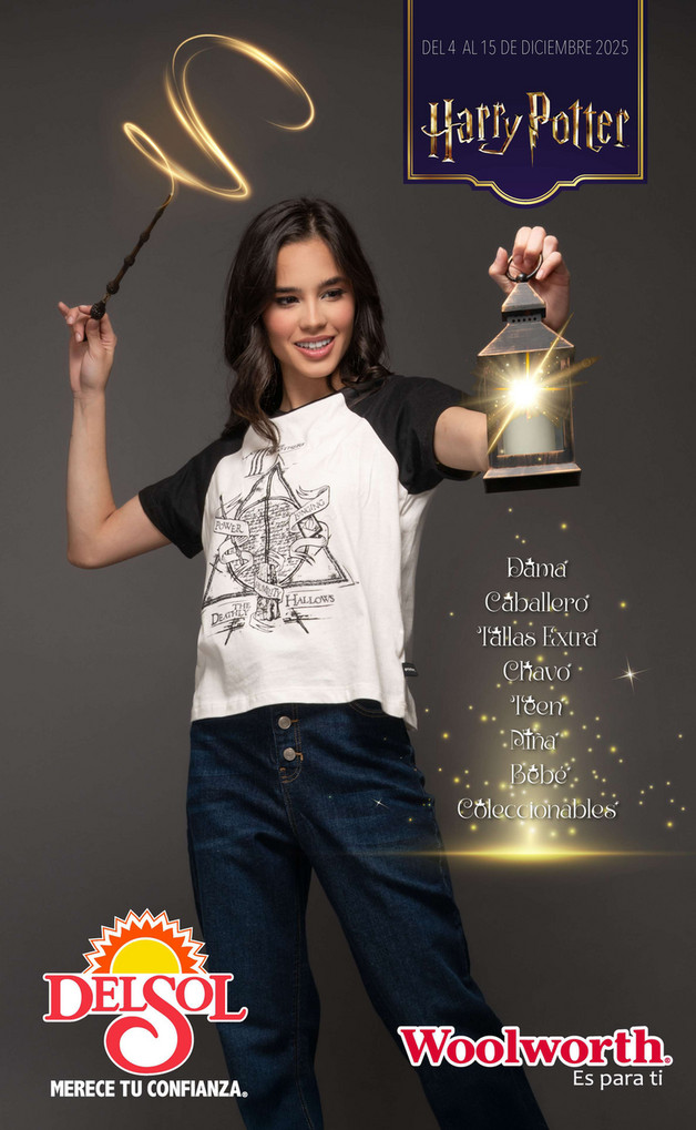 Harry Potter - Especial Licencias 2025